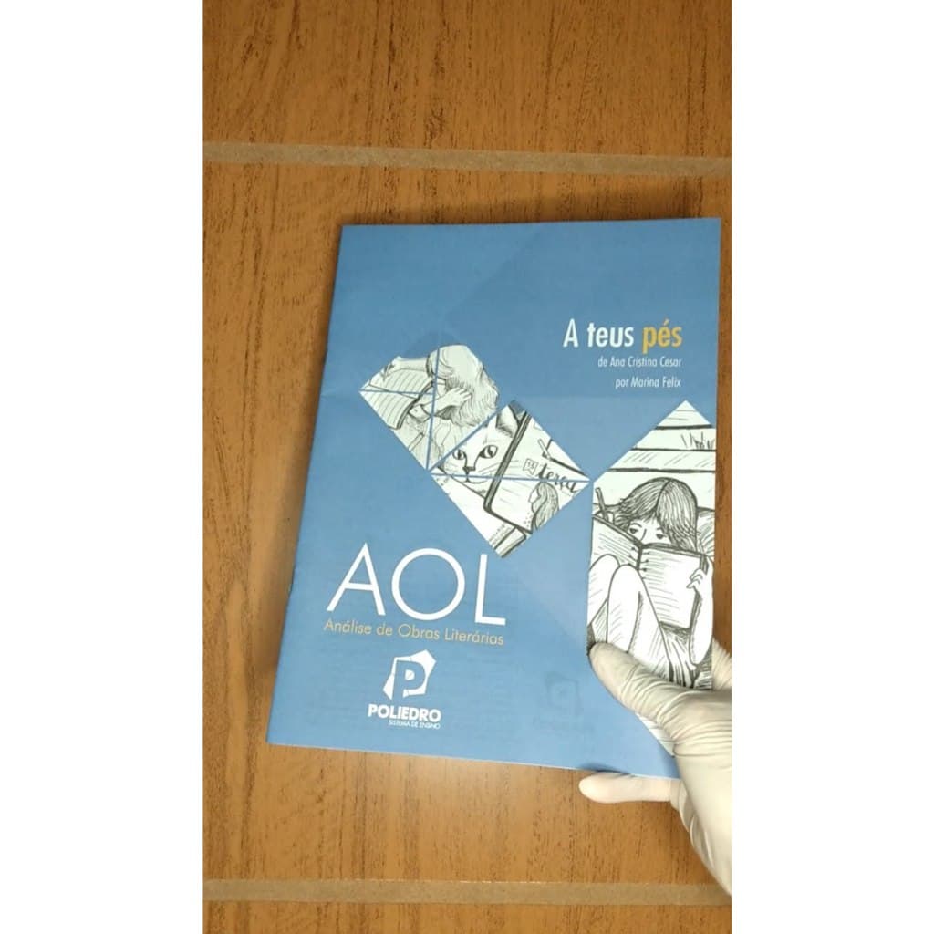 A teus pés, Ana Cristina Cesar (AOL Poliedro)