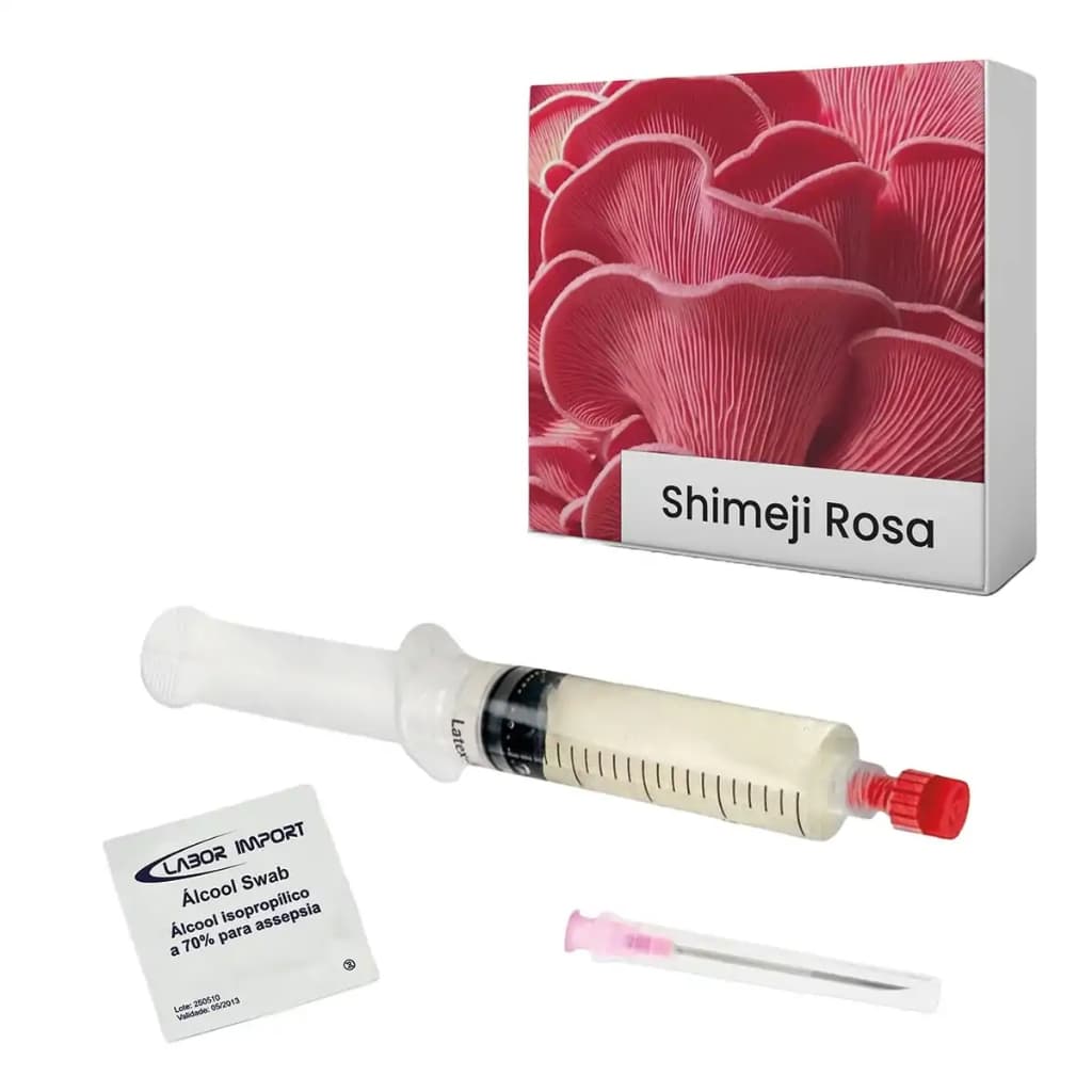 Semente de Shimeji Rosa / Hiratake Salmão - Seringa de Micélio Cultura Líquida Pleurotus djamor
