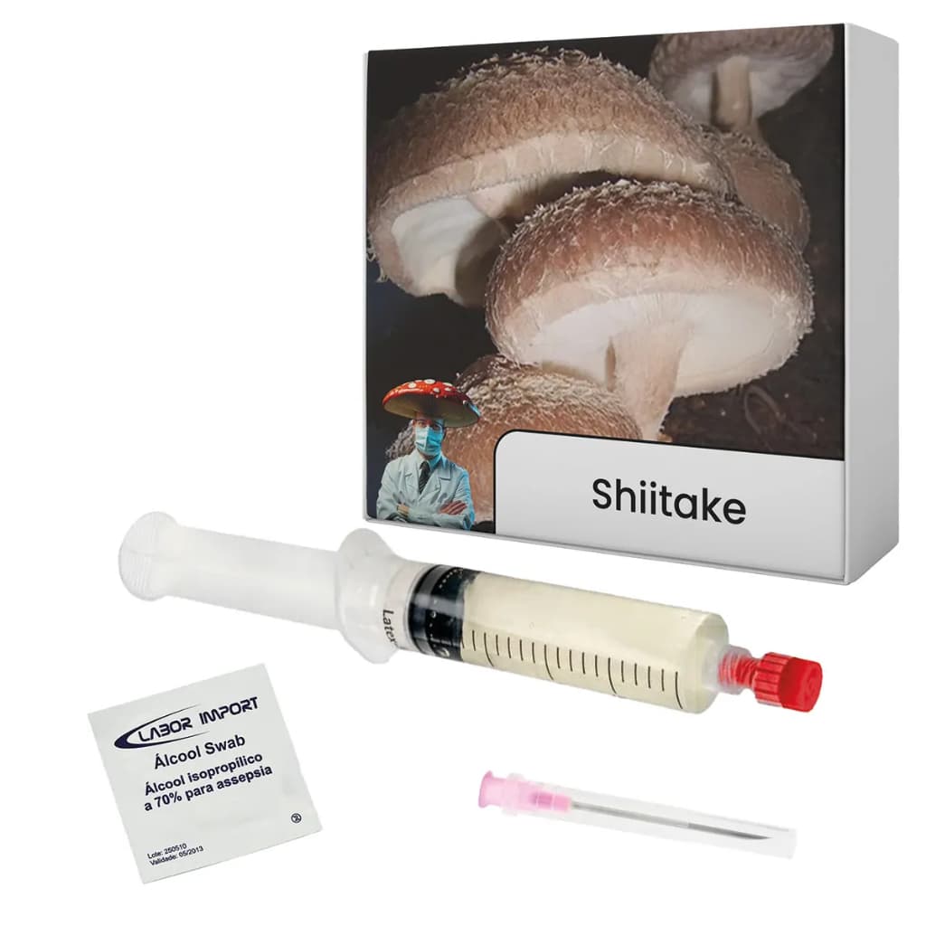 Semente de Shiitake - Cultura Líquida Cogumelo Lentinula edodes Seringa Micélio Shitake