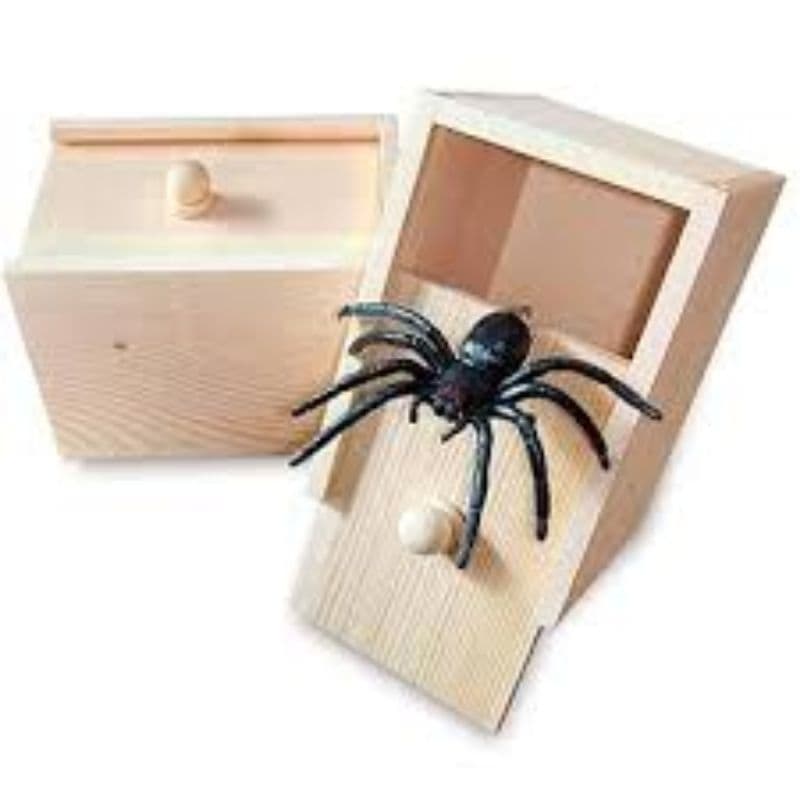 Presente Caixa Surpresa com Aranha de Borracha, Brinquedo Assustador, Brinquedo Engraçado