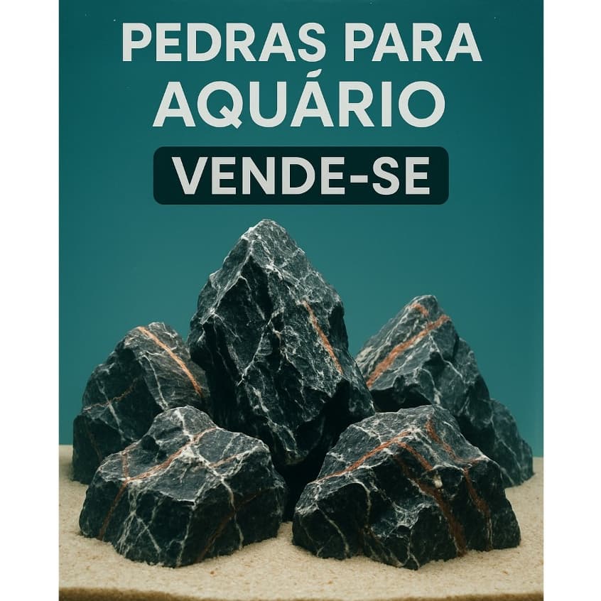 Pedra Preta Natural para Decoração de Aquário ou Jardim