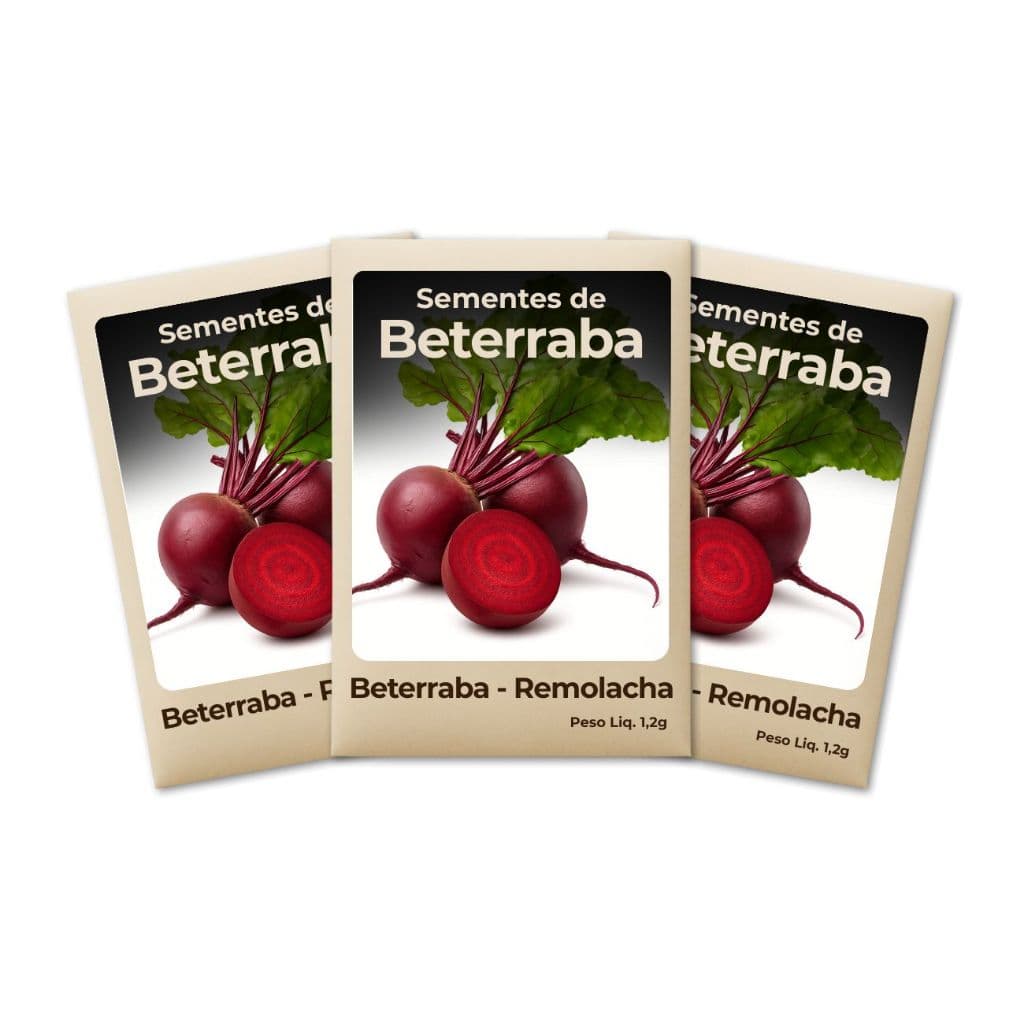 Semente de Beterraba Produção Elevada Hortas Domésticas Crescimento Constante Cultivo Fácil Feltrin Qualidade-Kit 3un