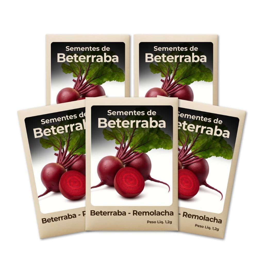 Beterraba Sementes Hortas Urbanas Crescimento Rápido Produção Constante Cultivo Fácil Feltrin Sementes-Combo 5un