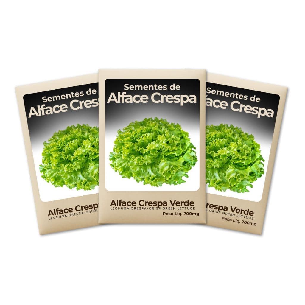 Semente de Alface Crespa Verde Cultivo Garantido Alta Germinação Hortas Domésticas-Kit 3 Pct