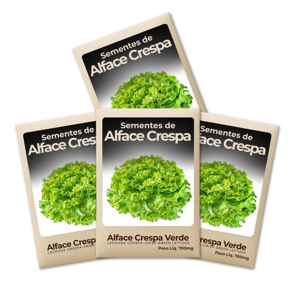 Semente de Alface Verde Crespa Alta Pureza Cultivo Seguro Rendimento Elevado Hortas-Leve 4 Pct