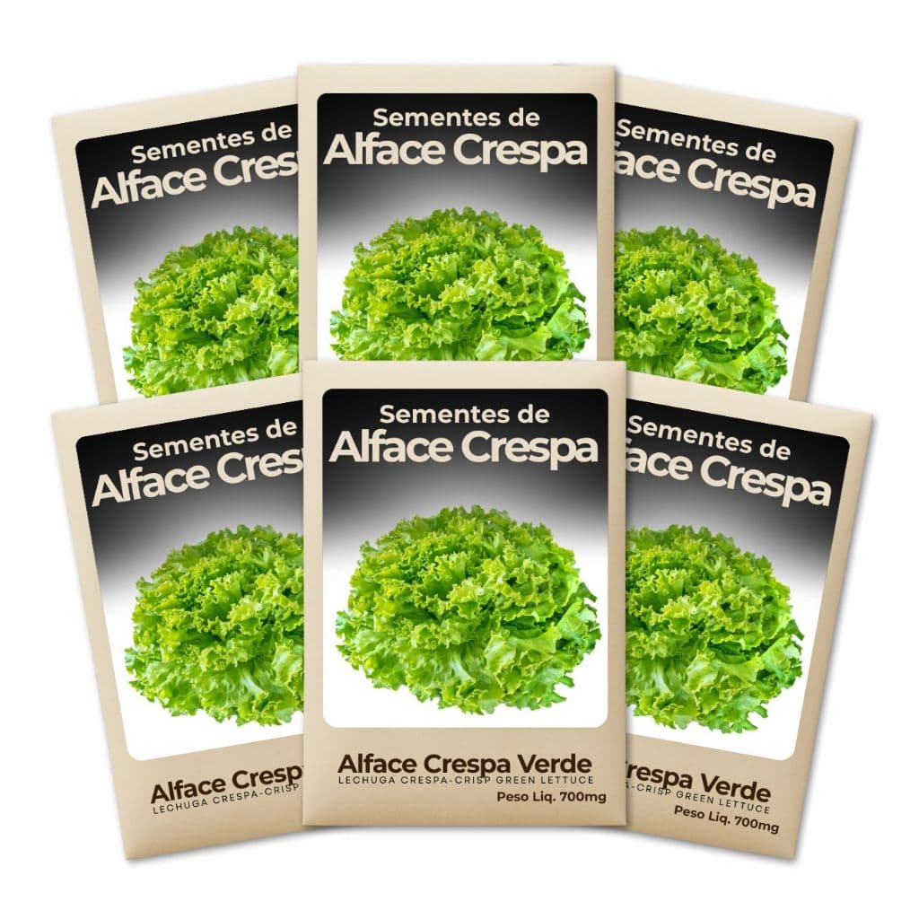 Sementes Alface Crespa Verde Produção Garantida Crescimento Rápido Hortas Domésticas-Combo 6un