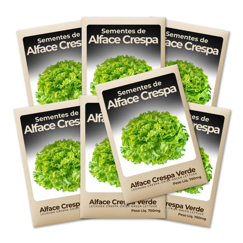 Semente de Alface Crespa Verde Alta Produtividade Cultivo Garantido Feltrin Hortas-Leve 7 Pct
