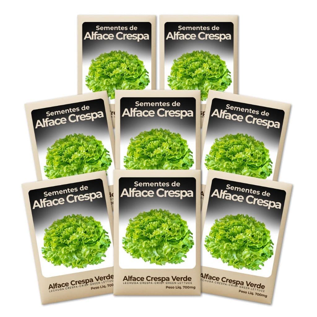 Sementes Alface Crespa Verde Alta Pureza Feltrin Sementes Hortas Urbanas Rendimento Elevado-Kit 8un