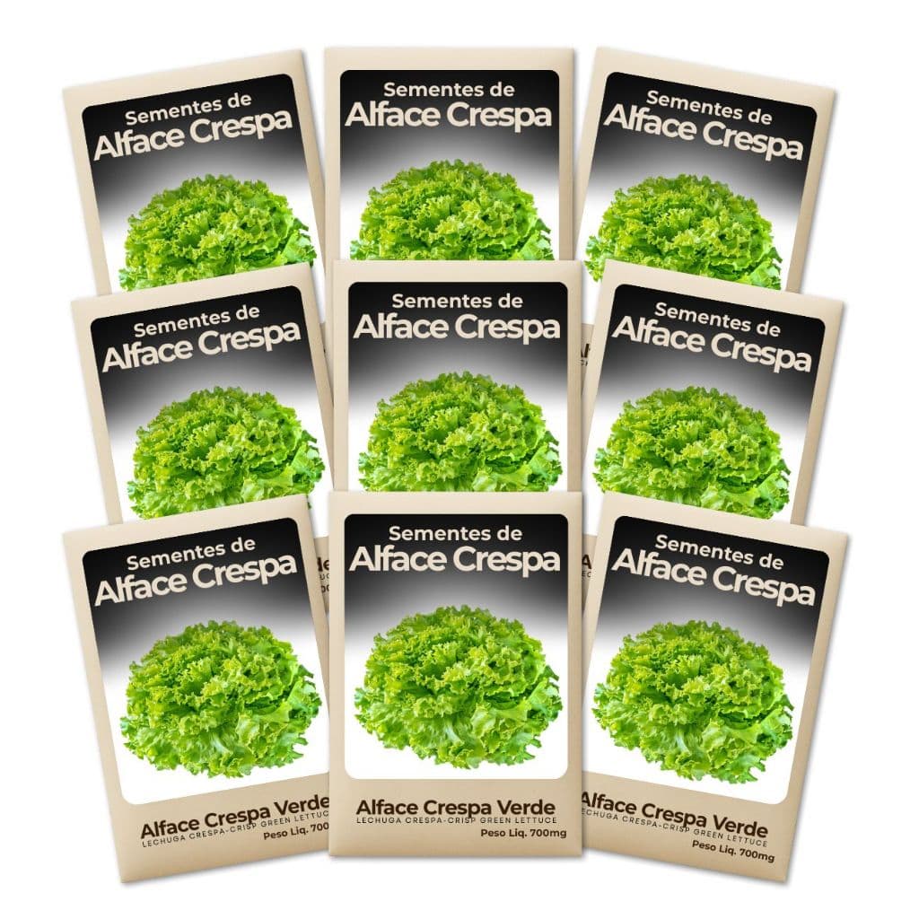 Sementes Alface Crespa Verde Alta Pureza Cultivo Fácil Feltrin Sementes Hortas Domésticas-Kit 9un