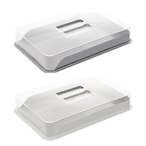 Porta Frios de Bambu e PP com Tampa de Poliestireno Off-white/Cinza 21cm x 16cm x 4cm - Lyor