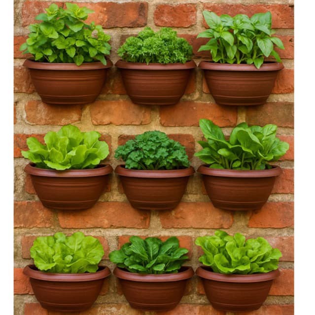 Kit 12 Vaso de Parede Meia-Lua para Plantas e Hortaliças – Design Rústico em Plástico Reforçado