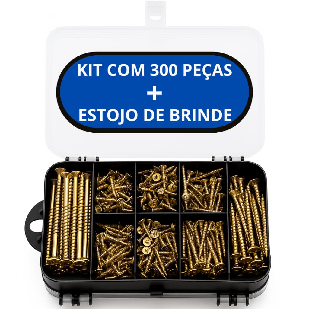 Kit 300 Peças Parafusos + Buchas + Maleta Organizadora  Chipboard Philips  Pronto para Qualquer Obra
