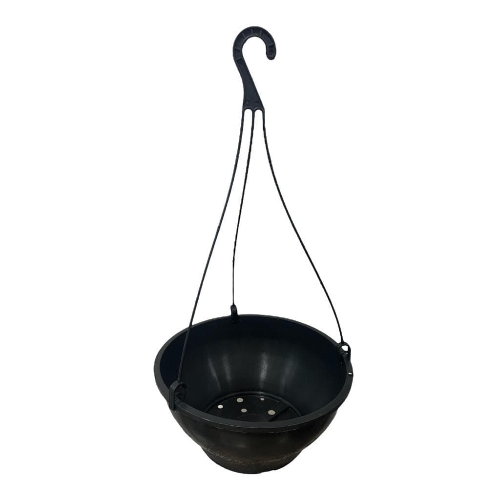Kit 10 Vasos Cuia 25 + 10 Alças De Brinde Para Plantas Pendentes/Suspensas