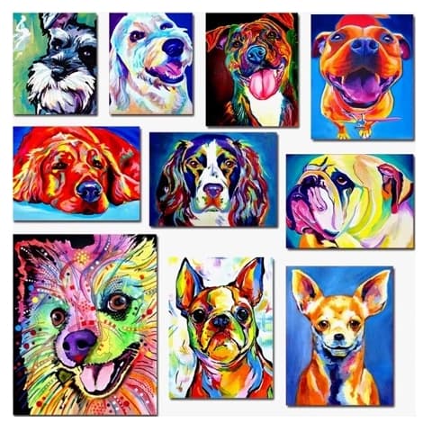 Kit 20 Quadros Decorativos Pet Shop Dog Cachorro Decoração Estimação