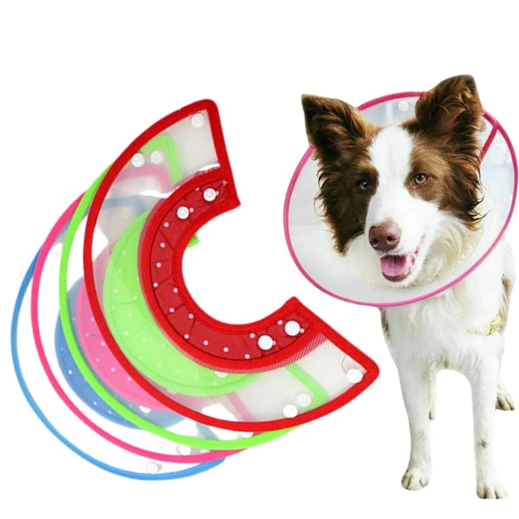 Colar Elizabetano Cone Cirúrgico Luxo Regulável Tamanho G