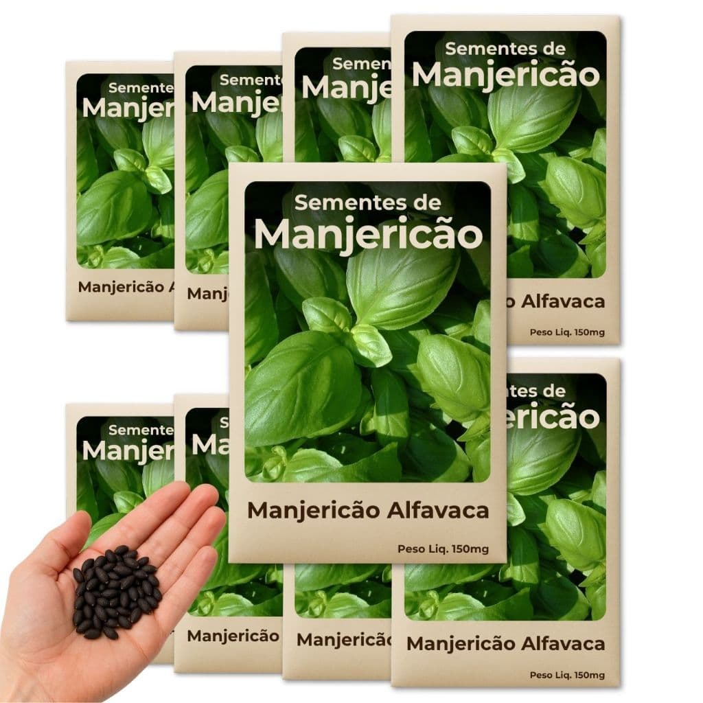 Semente de Manjericão Alfavaca Pronta para Plantio em Horta Orgânica ou Convencional Kit 9 Pacotes