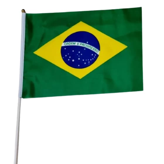 12 BANDEIRA BRASIL TECIDO C/ HASTE 40X30CM G COPA DO MUNDO - TORCIDA COPA 2026