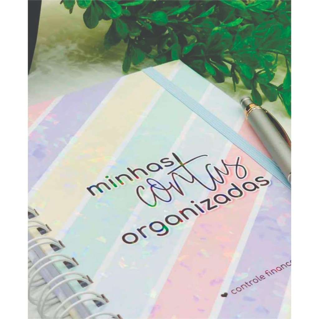 Planner Financeiro Caderno de Controle Financeiro - Minhas Contas Organizadas Diário de Contas