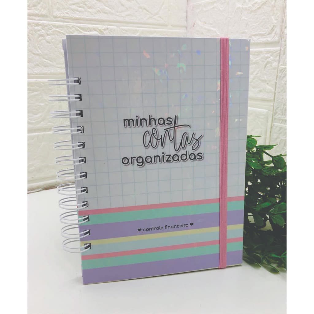 Planner Financeiro Minhas Contas Organizadas Agenda Financeira