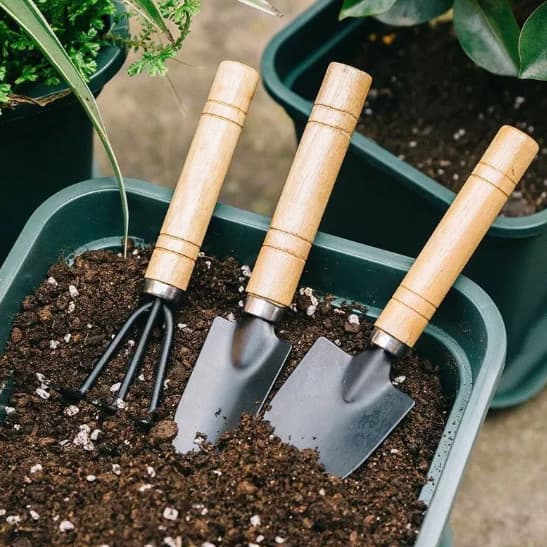 Mini Jogo Para Jardinagem Vasos de Plantas Pequenos