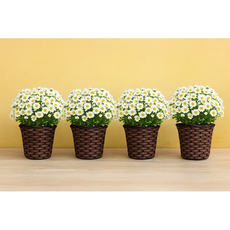 kit Vasos de Plantas Decorativo 20x16 Crisântemo