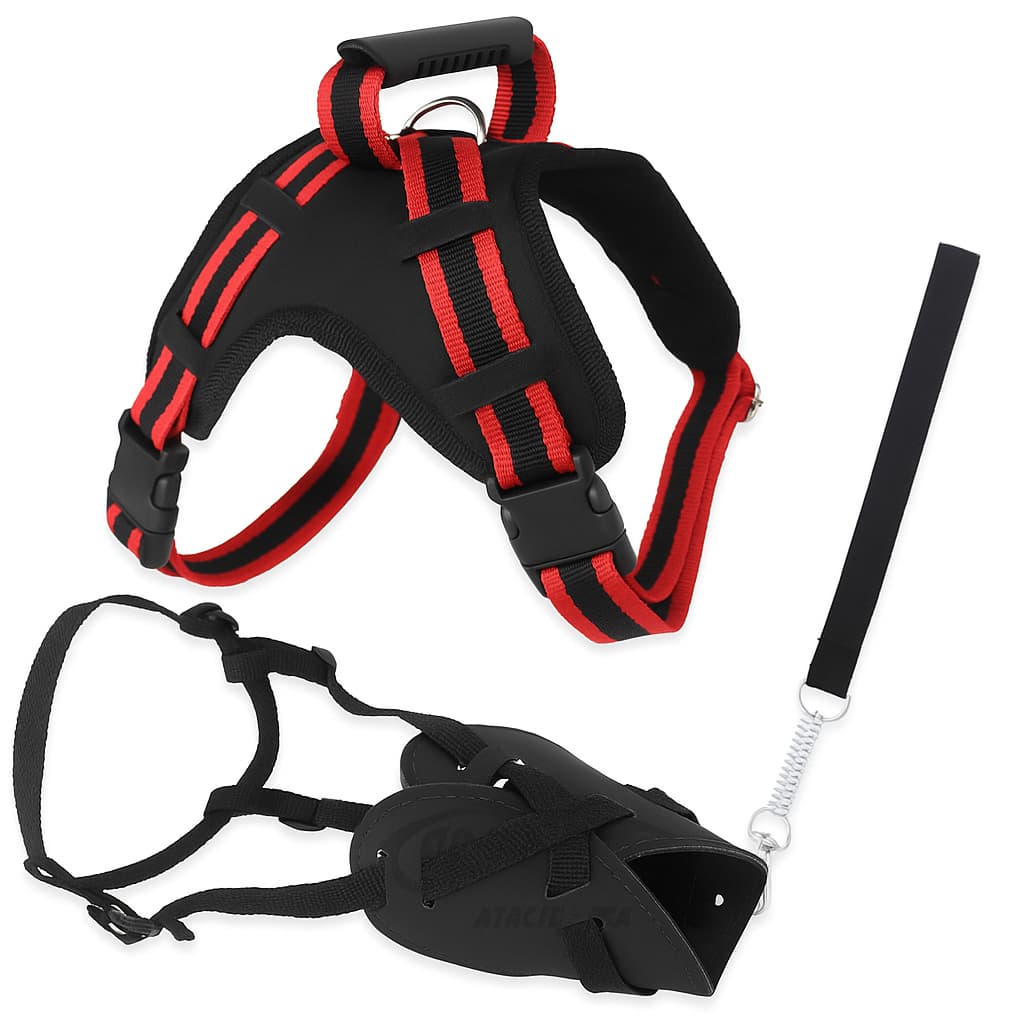 Conjunto para Cães com Peitoral Reforçado, Focinheira e Guia com Mola – Kit Adestramento