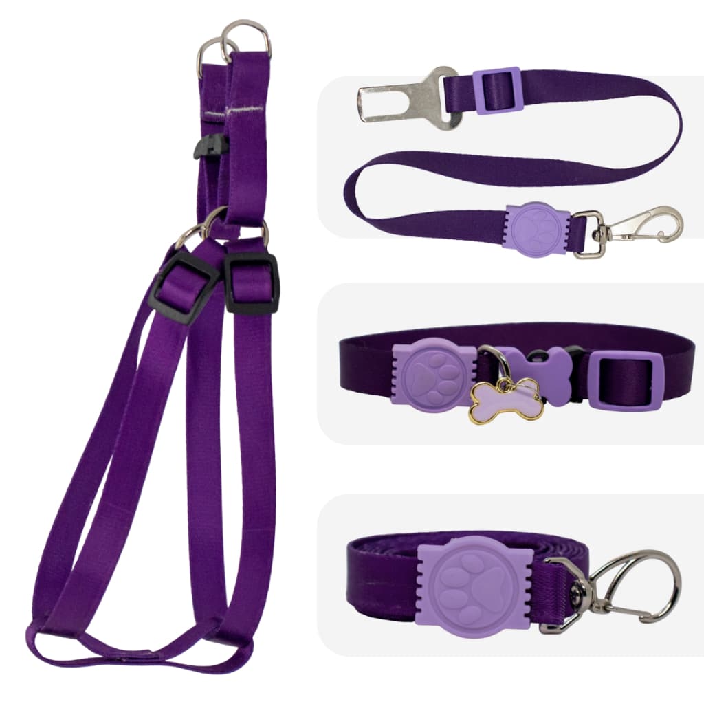 Coleira pet Cachorro kit cinto de segurança e peitoral