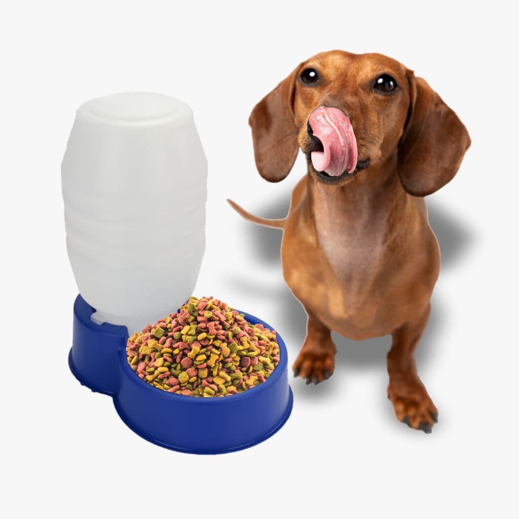 Bebedouro E Comedouro Pet Automático Para Cães 5 L Pet Solution