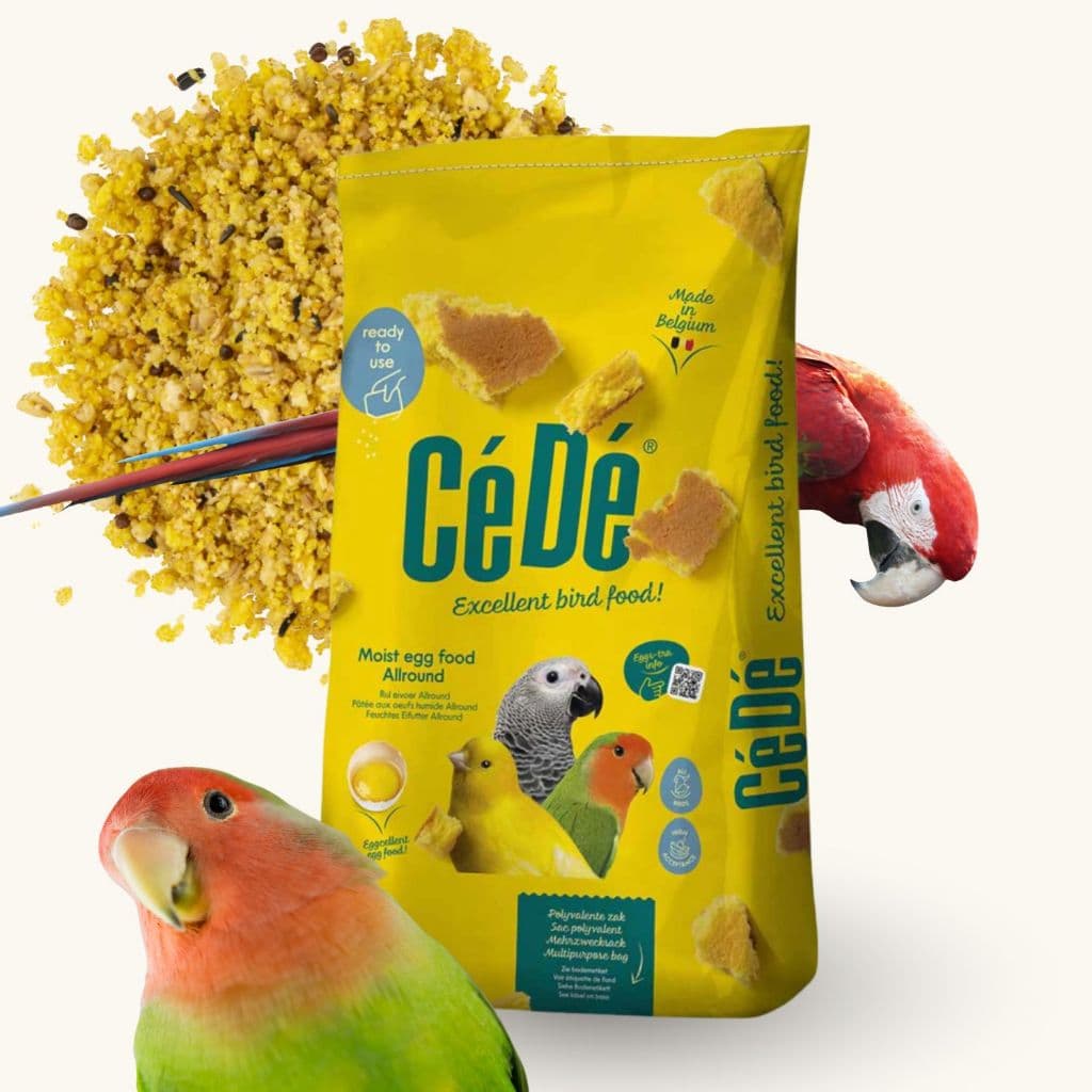 ALL ROUND - Farinhada para todas as criações 10Kg - CéDé