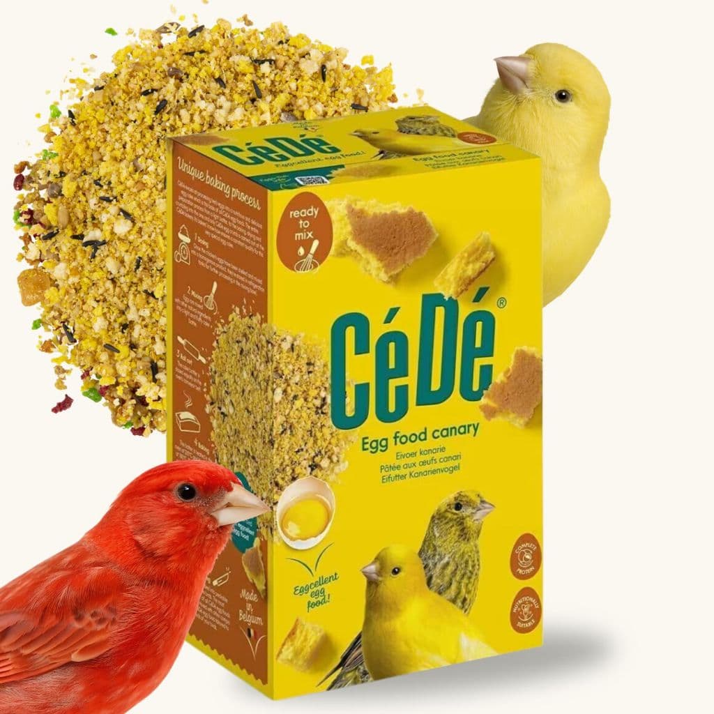 Canários todos os Tipos, Farinhada a base de Ovos - 1kg - CéDé Canary