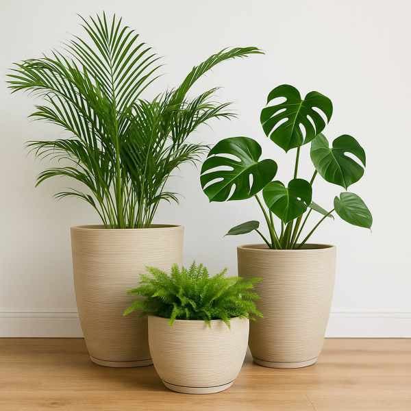 Vaso de Plantas Kit com 3 Coluna Bojo N1 e N2 + Bacia N1 Escovado, Plantas, Flores, Varanda Casa Interior e Exterior