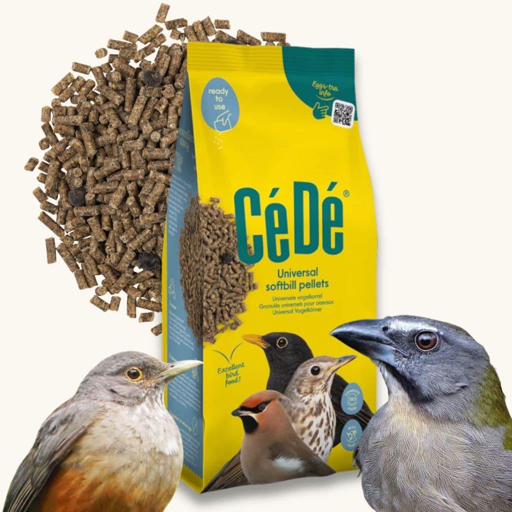 Ração Peletizada  para Trinca-ferro Sabiá com frutas e minerais Softbill 1kg - CéDé