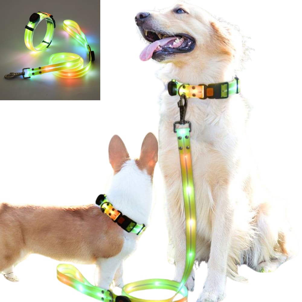 Coleira Led Cachorro Recarregável Usb Ajustável Segurança Noturna Pet Grande Pequeno