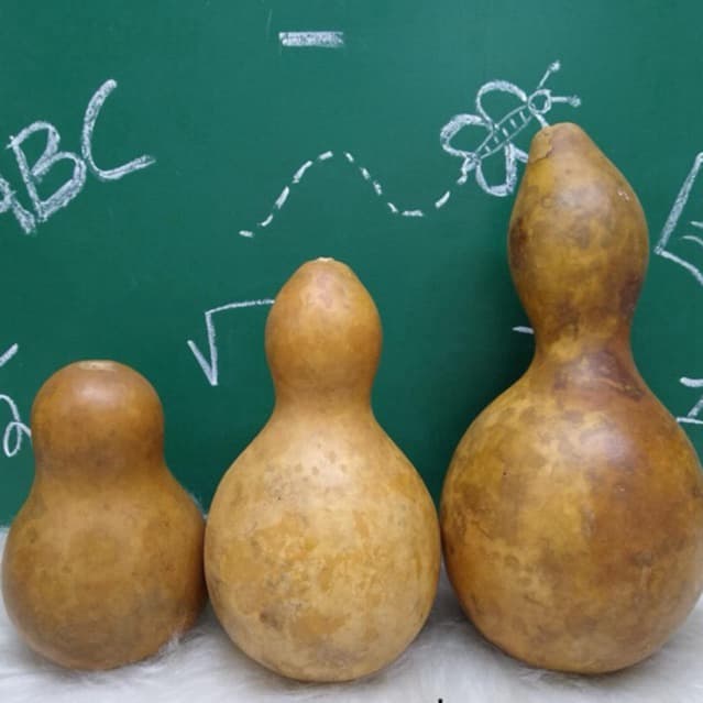 Porongos/cabaça artesanato cuia ou chocalho brinquedo natural escola/professores música, sementes, umbanda, candomblé