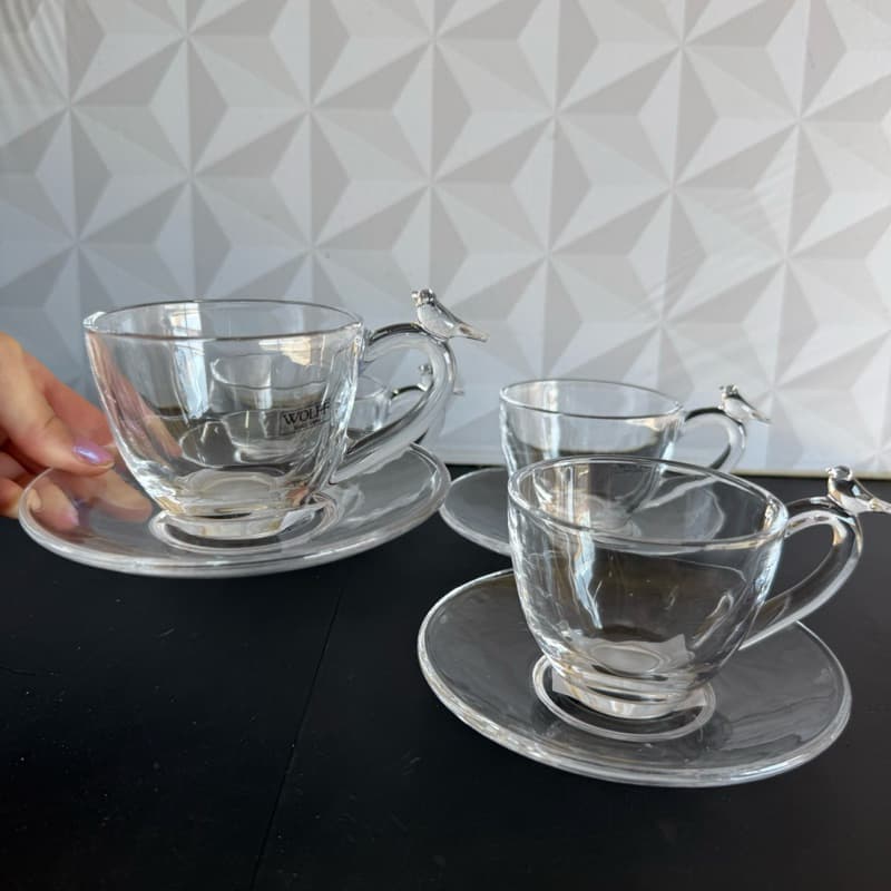 Jogo de xícara de chá pássaro transparente 180ml com 8 peças pires wolff - xícaras passarinho Bird grande caneca café