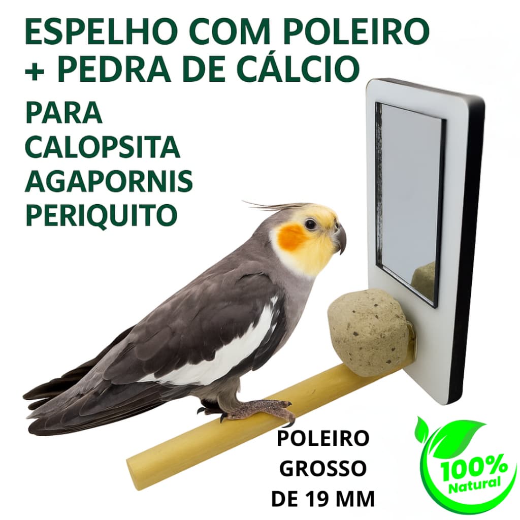espelho gaiola calopsita com Poleiro e pedra de cálcio acessorio para passaros e brinquedo passaro