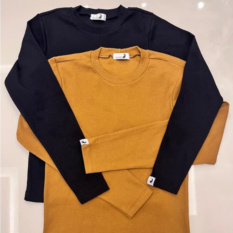 Kit 2 Blusas Femininas Manga Longa Em Ribana Para Frio Look Casual Cores Sortidas