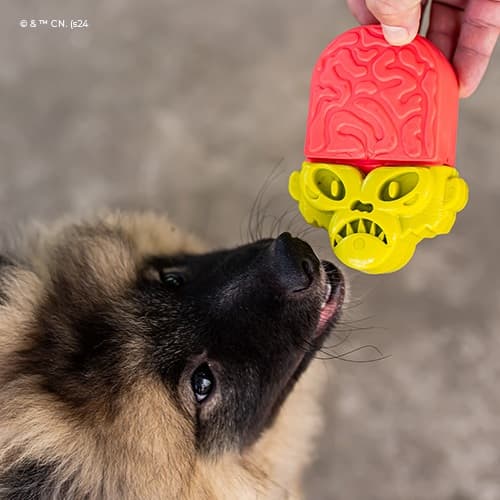 Mordedor de Nylon Macaco Louco | Coleção Meninas Super Poderosas para Cachorro - Petiko