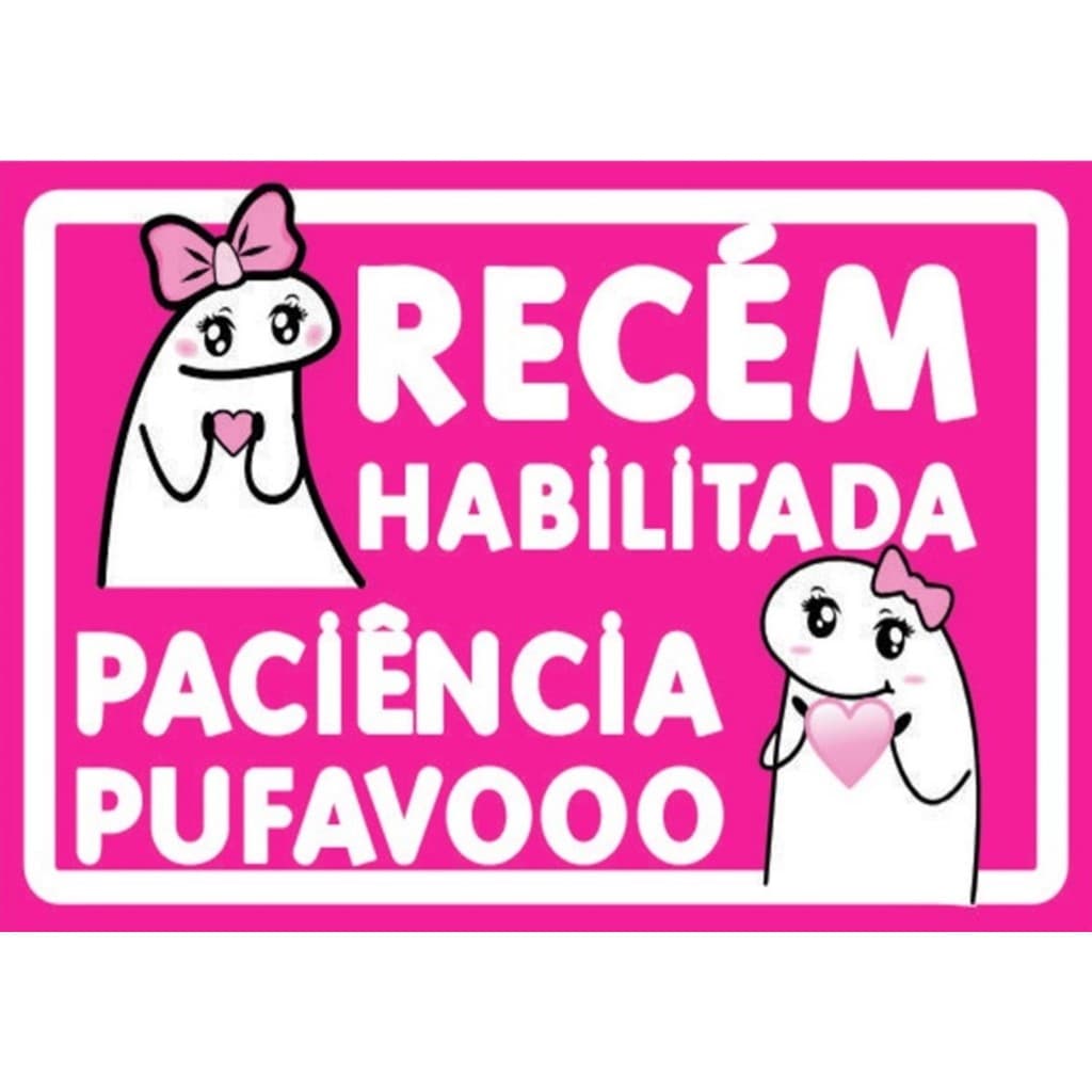 Recém habilitada todo em imã para carro