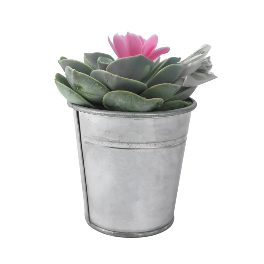 Mini Vaso Metálico Para Suculentas – Decoração Minimalista - (vaso vazio)