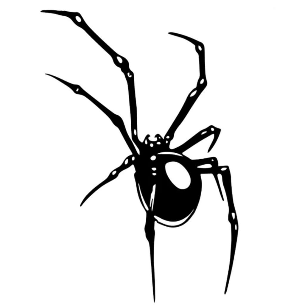 Adesivo Aranha Viuva Negra 16x8 Cm Carro Moto Parede 03104 PRTeta ou Branco,