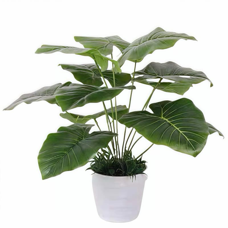 Planta artificial de 12 folhas costela de Adão toque real