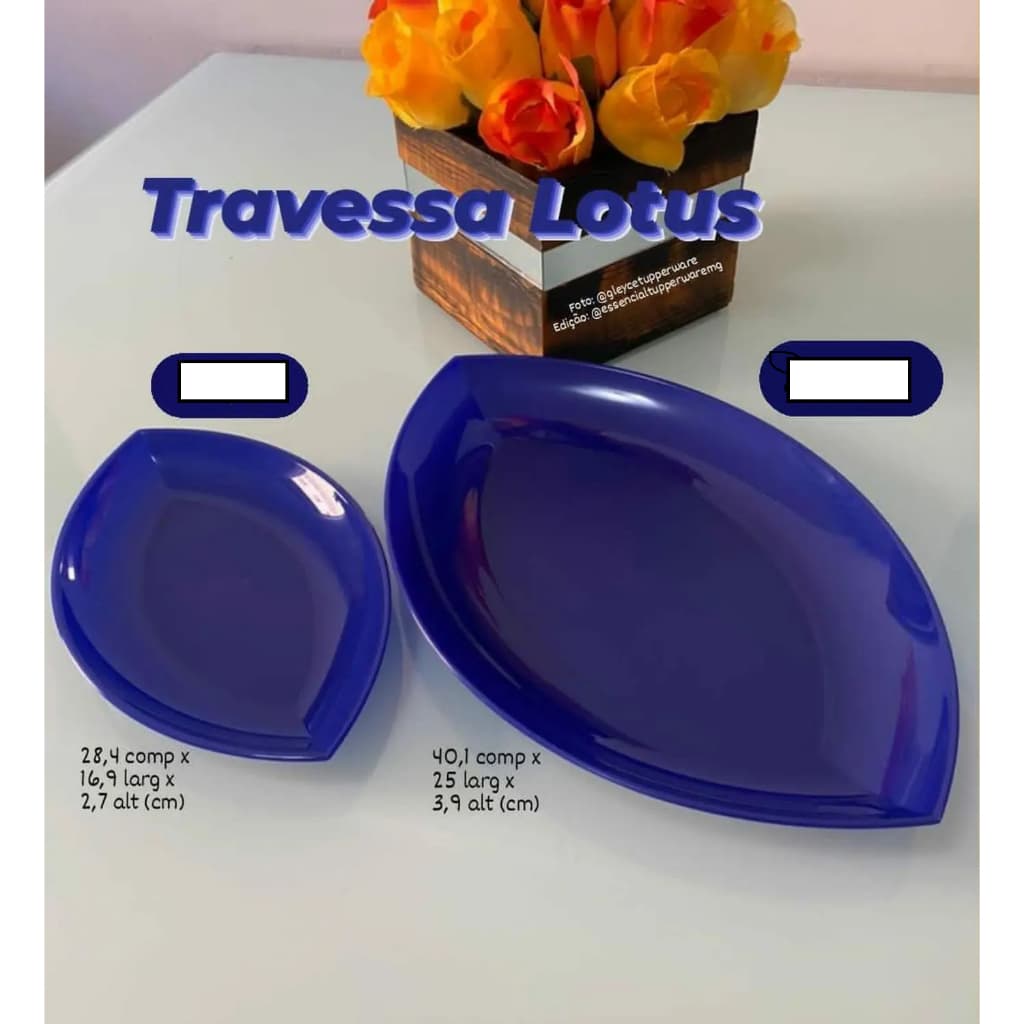 TUPPERWARE KIT Travessa Lótus