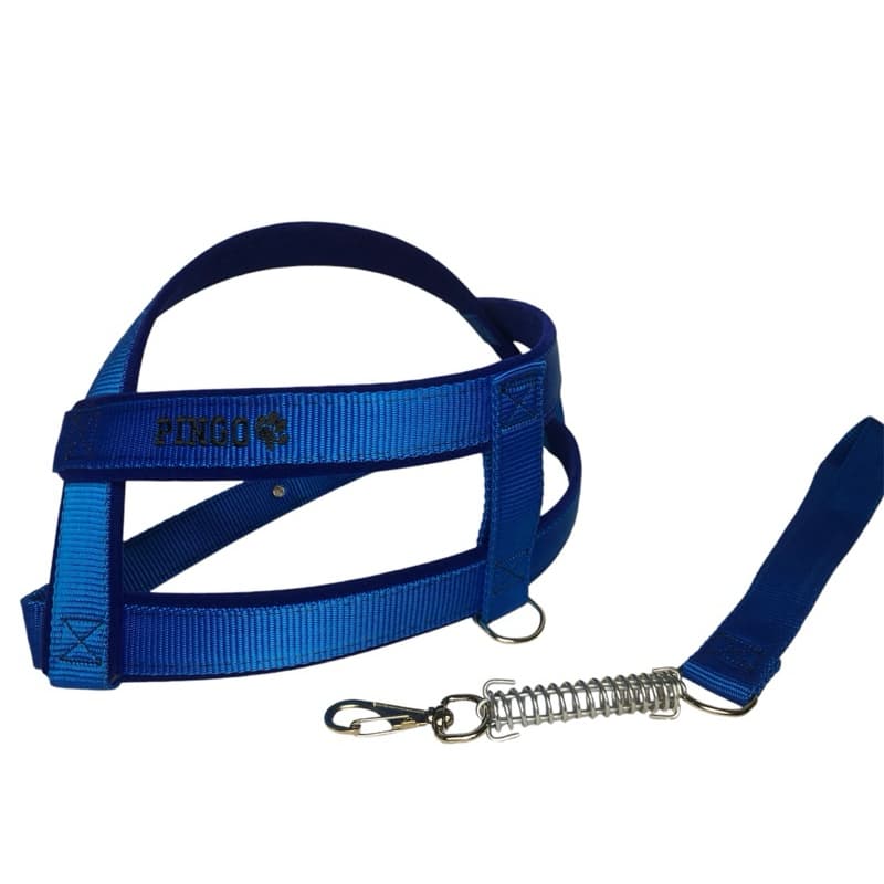 peitoral coleira pet resistente para cachorro revestido em veludo + guia polipropileno peitoral cão grande
