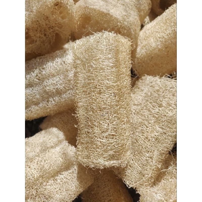 Kit c/10 Esponjas Buchas Vegetais Naturais / bucha para estria