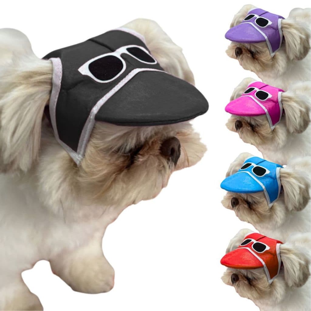 Kit 10 Bonés para Cachorro Atacado Chapéu Pet Cães com Óculos