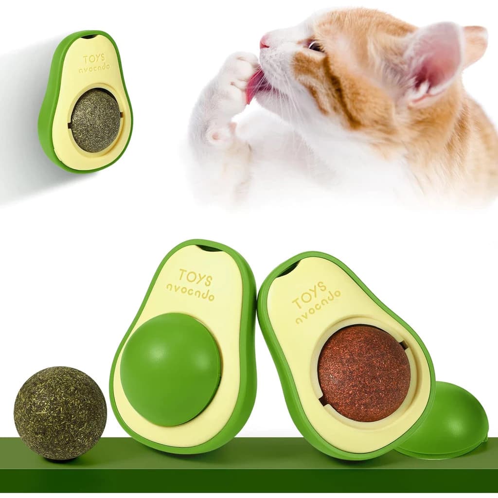 Abacate Para Gatos Com Catnip Erva Gato Natural Brinquedo