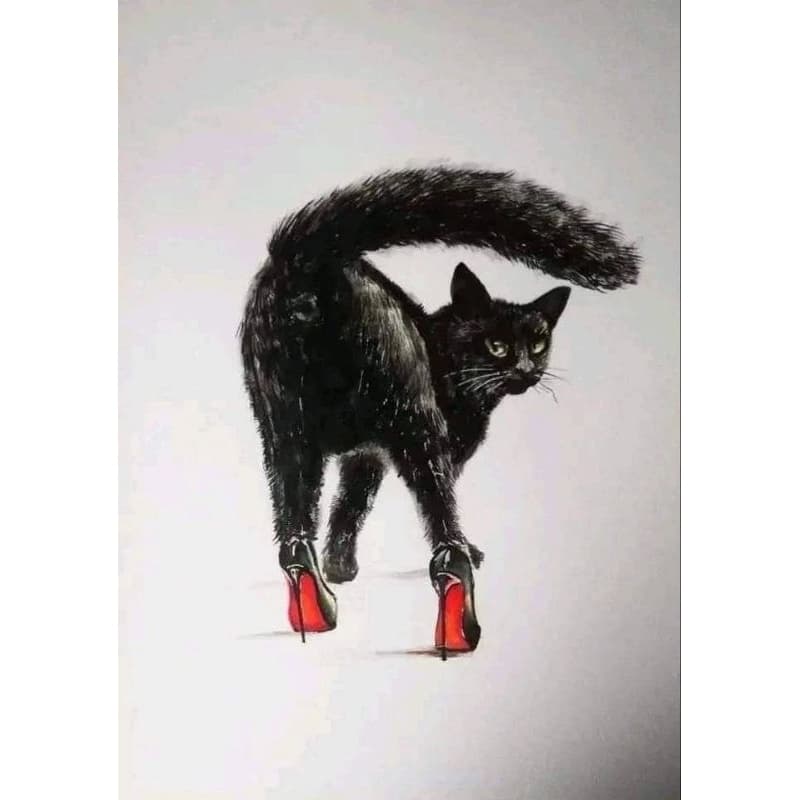 Quadro Decorativo Gato de Salto Alto