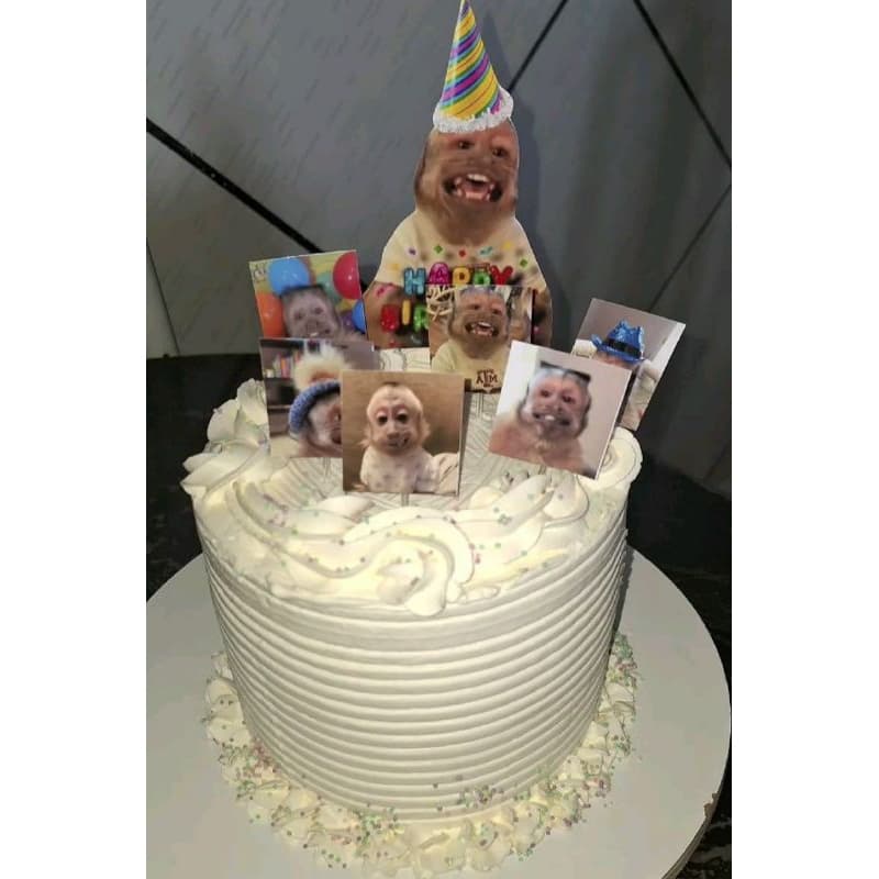Topo de bolo macaquinho meme - personalizado com nome e idade