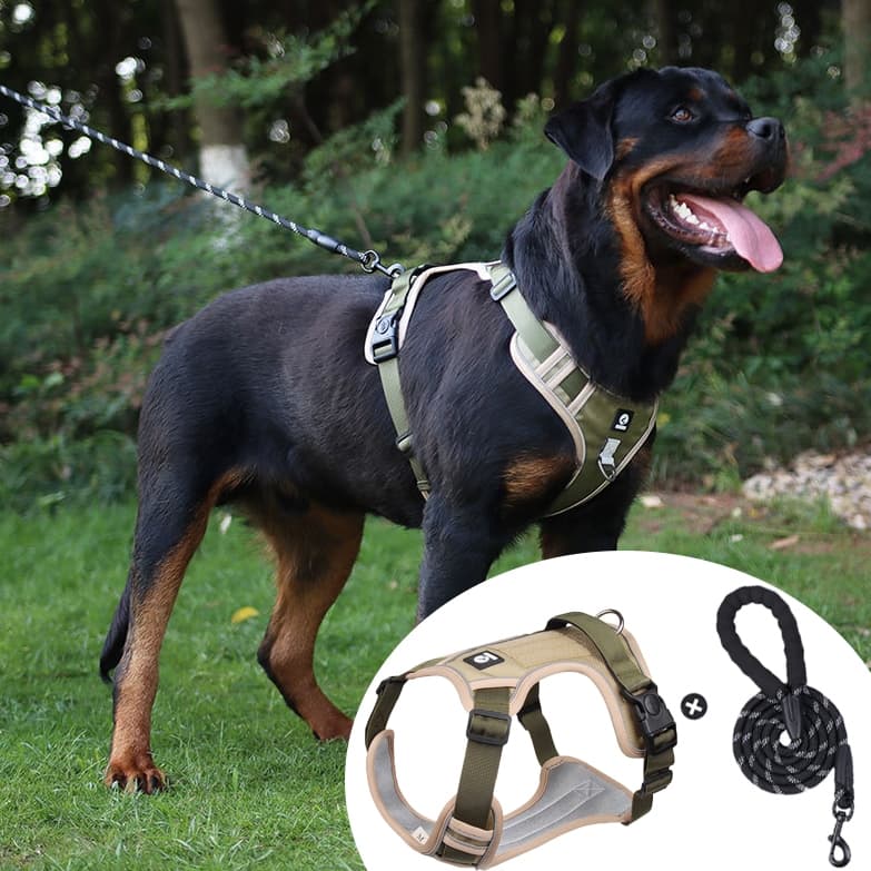 Colete com Pega Coleira Peitoral Para Cachorro Cães Médios Grande Refletivas Ajustáveis De Estimação